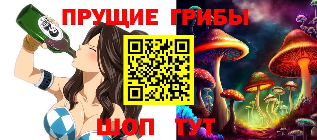 Псилоцибиновые грибы Psilocybe  сколько стоит  Сухой Лог  Вход с VPN  Галлюциногенные грибы Psilocybine cubensis 
